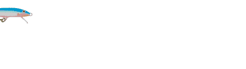 sluk.gif (21619 bytes)